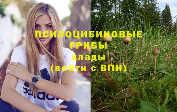 синтетический гашиш Верея