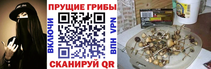 Псилоцибиновые грибы прущие грибы  где продают наркотики  Мончегорск 