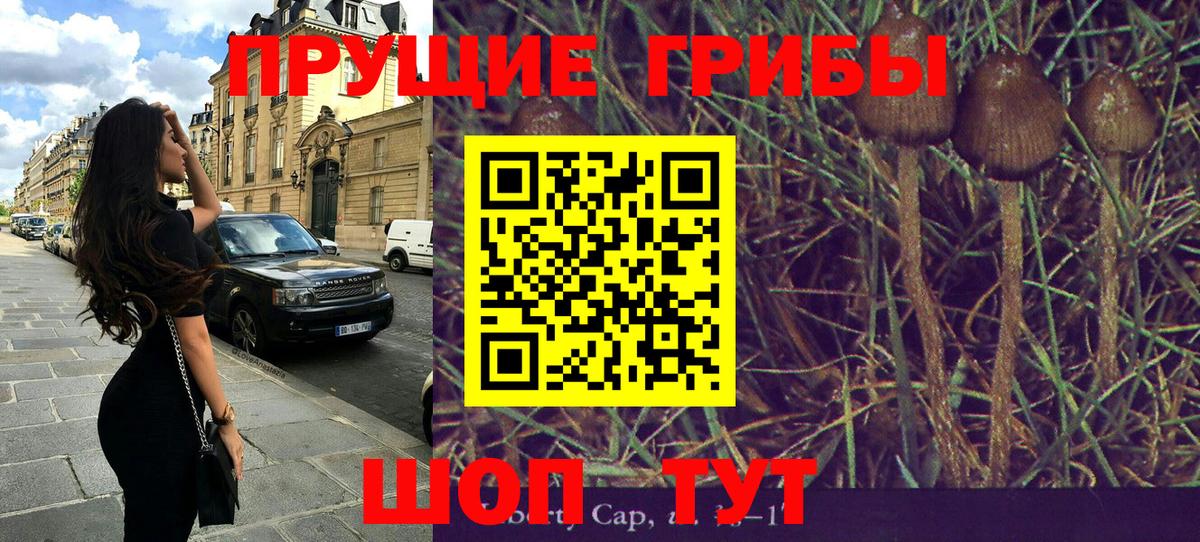Псилоцибиновые грибы ЛСД Мончегорск