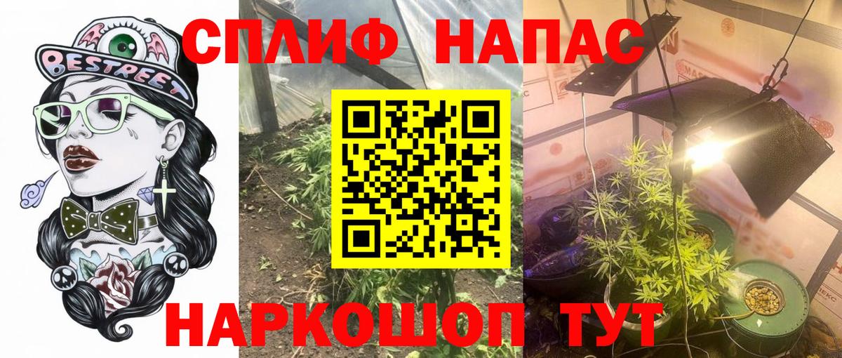 Марихуана Bruce Banner  Конопля семена  Мончегорск  Вход с VPN 